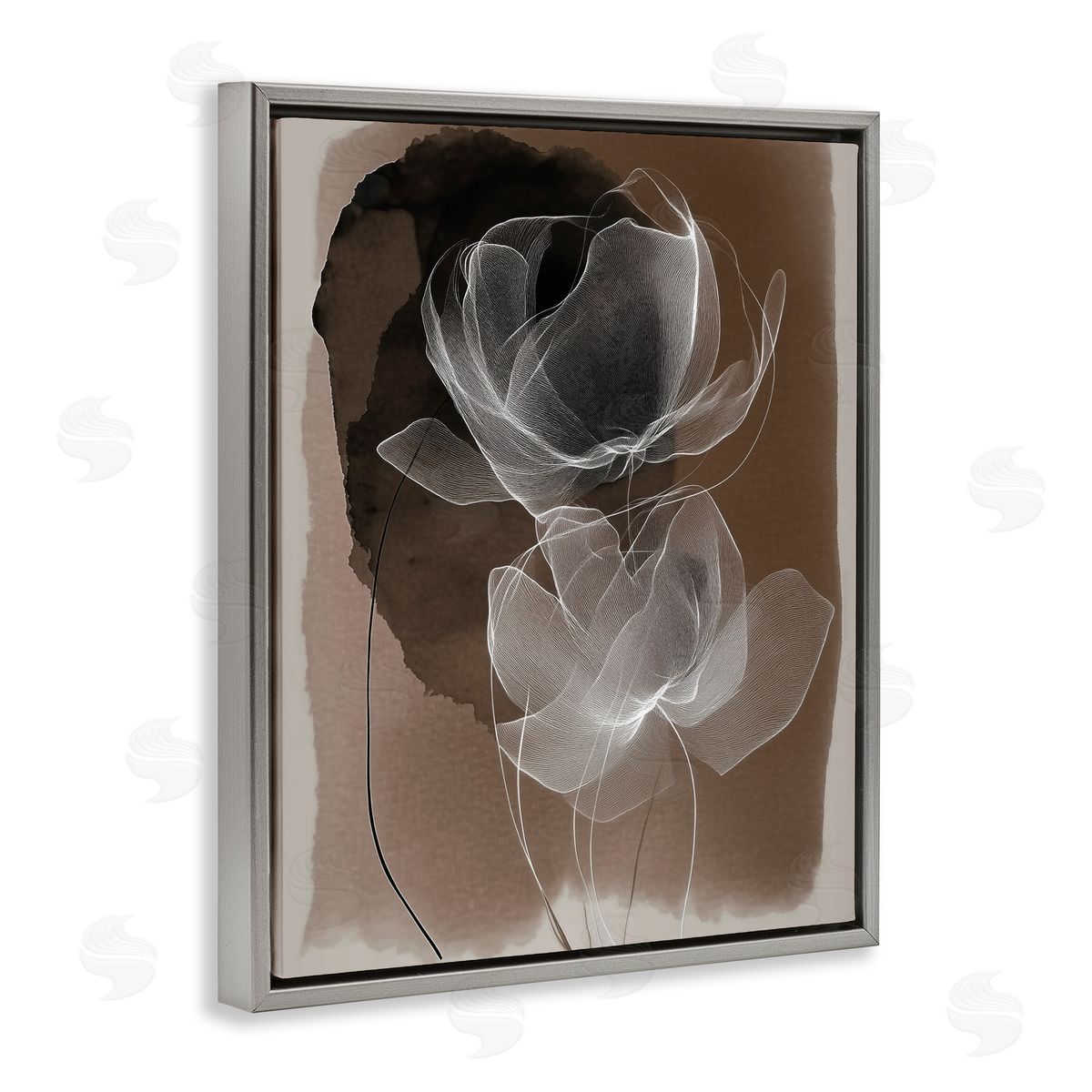 Annabelle Hall | Gossamer Roses on Brown