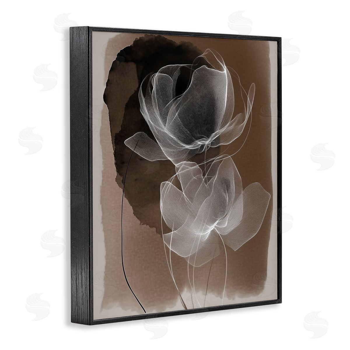 Annabelle Hall | Gossamer Roses on Brown