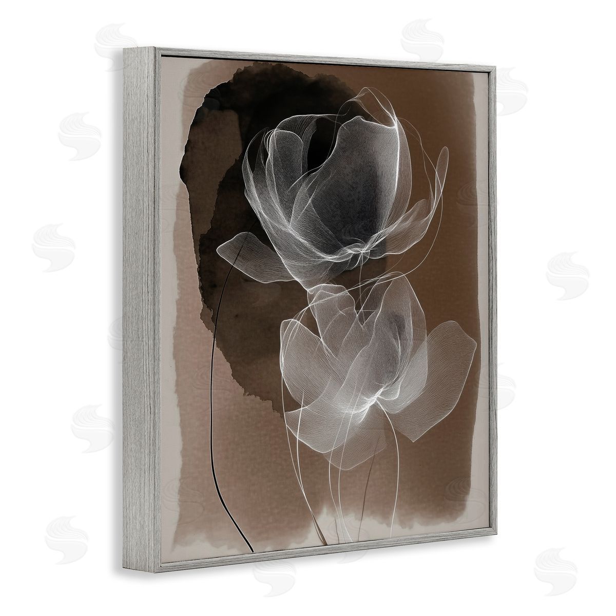 Annabelle Hall | Gossamer Roses on Brown