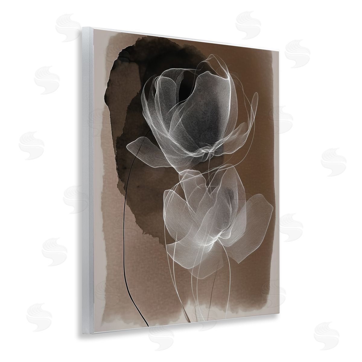 Annabelle Hall | Gossamer Roses on Brown