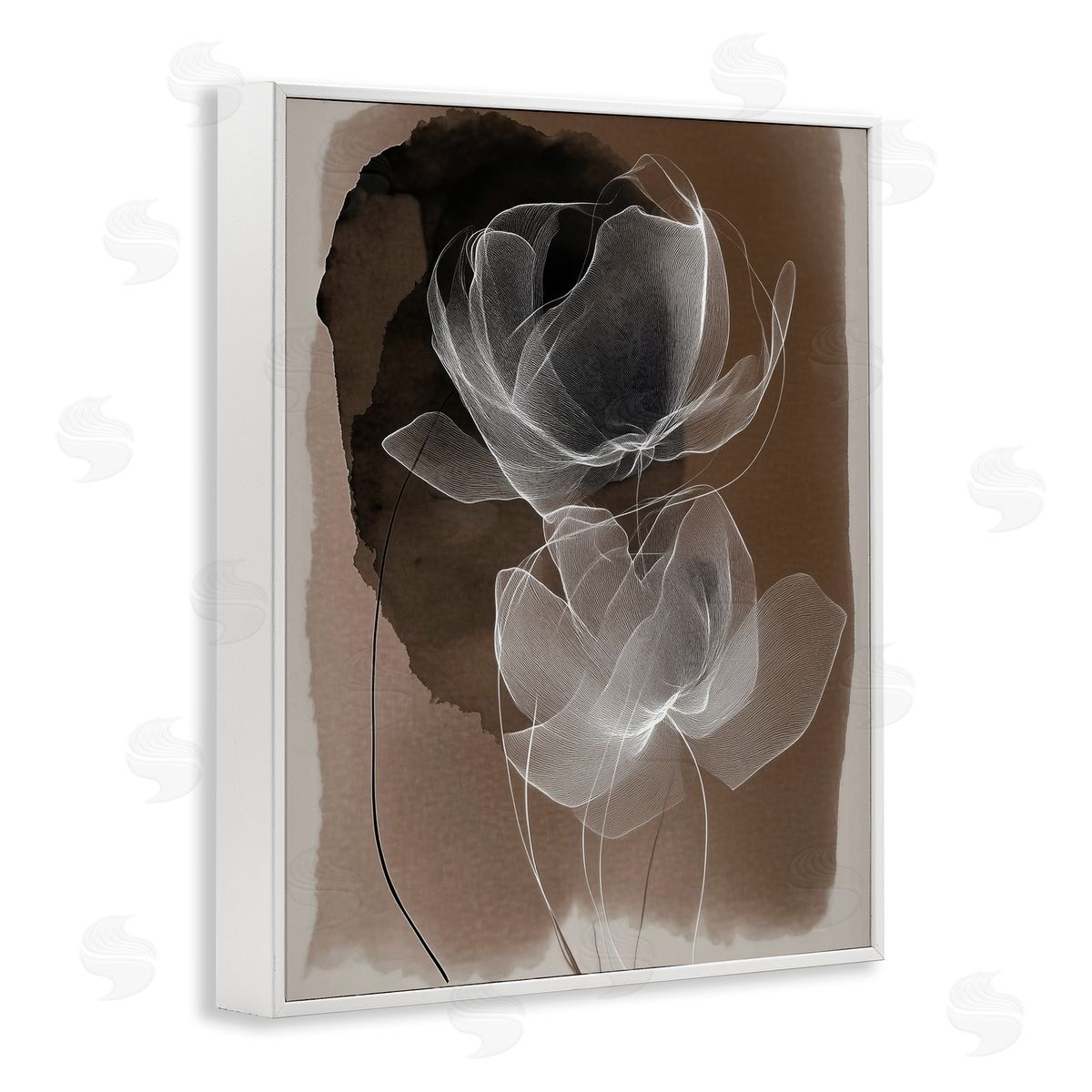 Annabelle Hall | Gossamer Roses on Brown