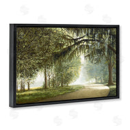 BRUCE NAWROCKE | Tree Canopy over Path