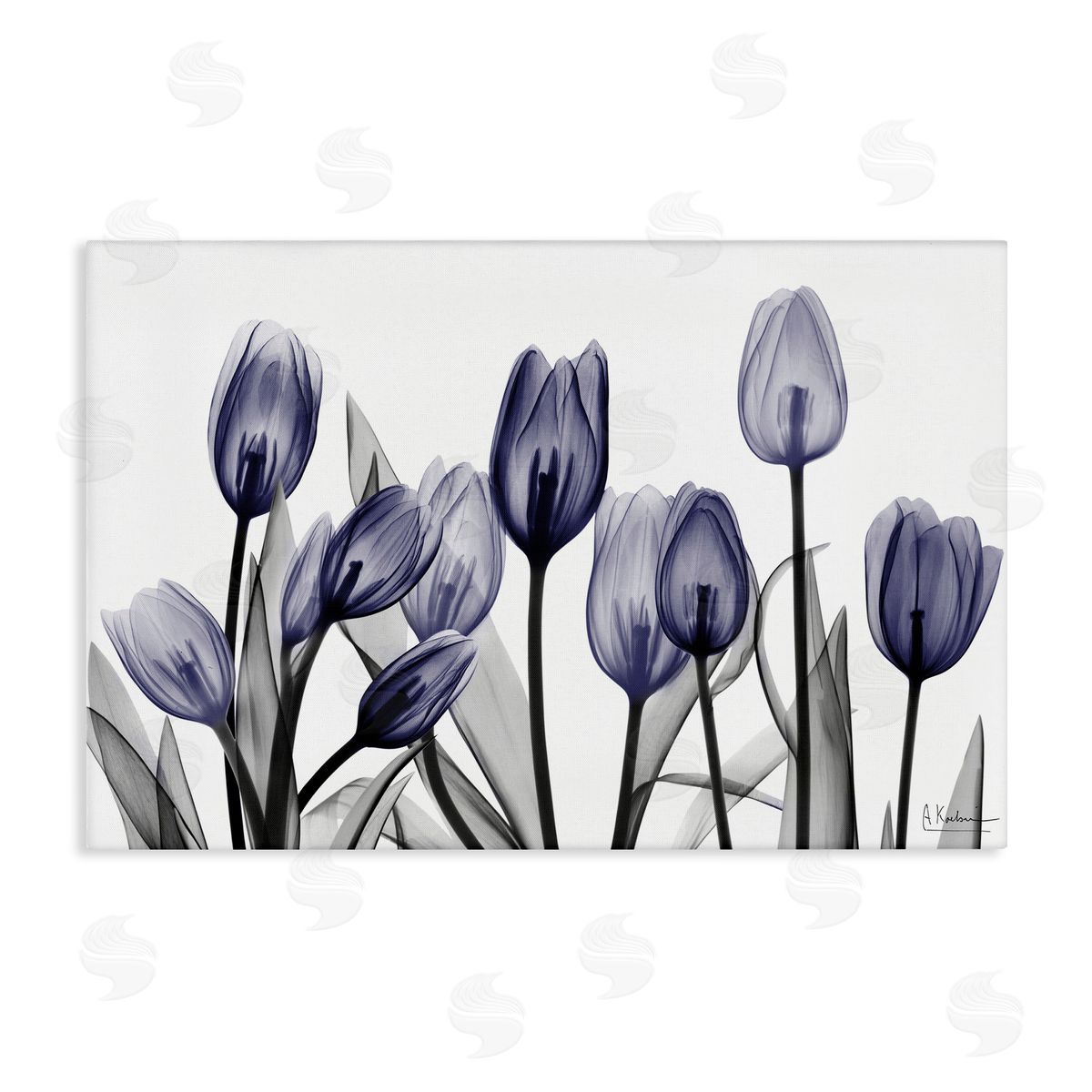 Albert Koetsier | Dramatic Dusk Blue Tulips