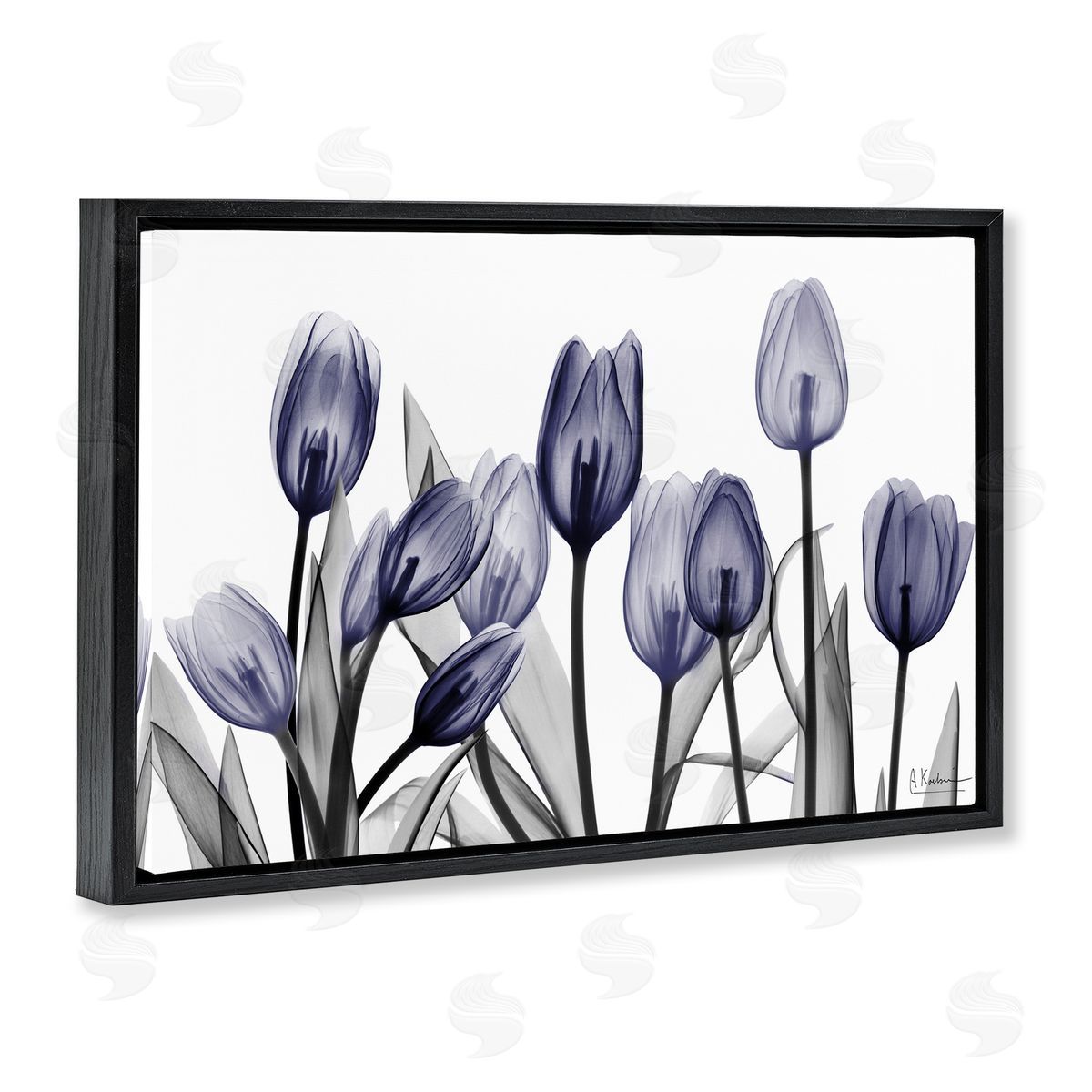 Albert Koetsier | Dramatic Dusk Blue Tulips