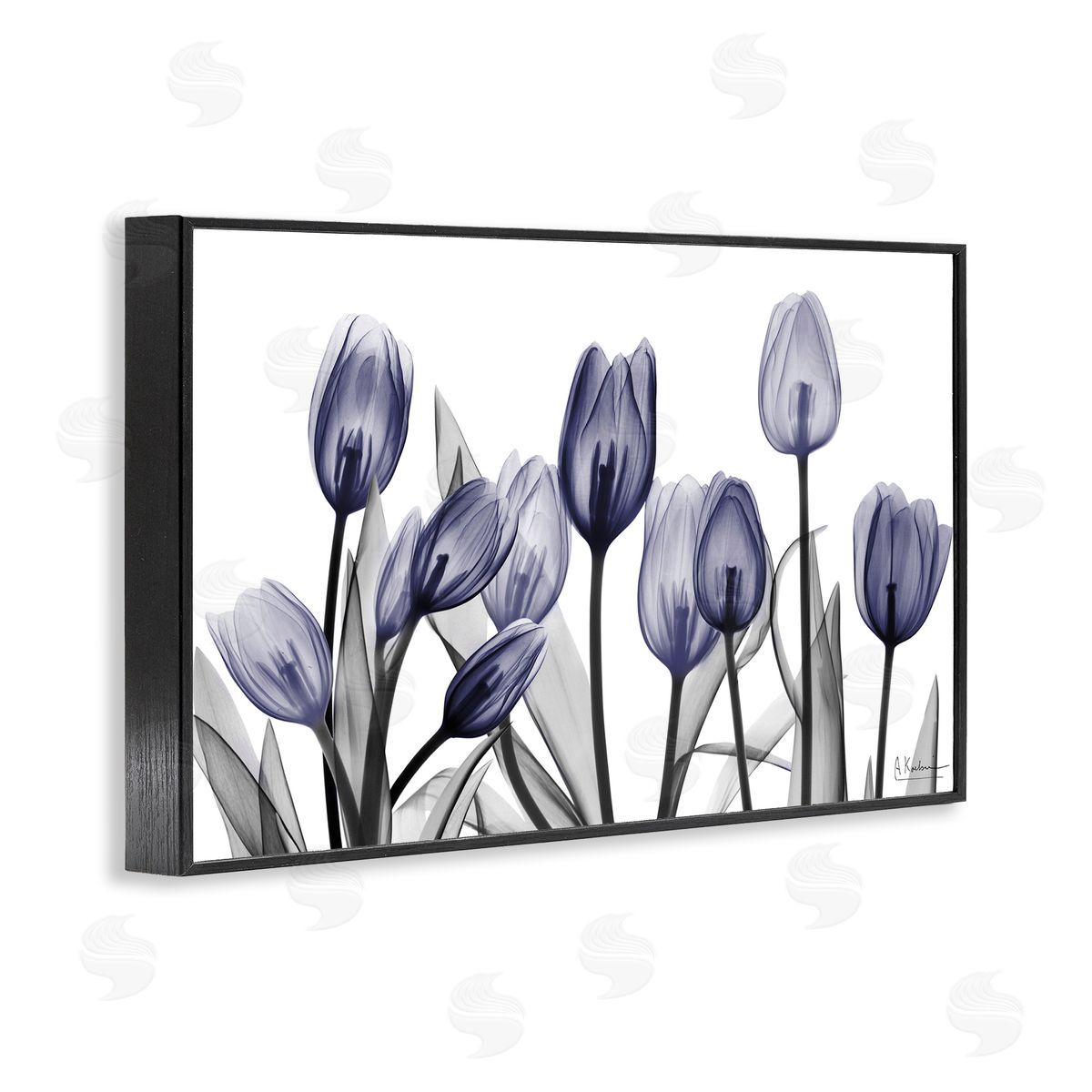 Albert Koetsier | Dramatic Dusk Blue Tulips