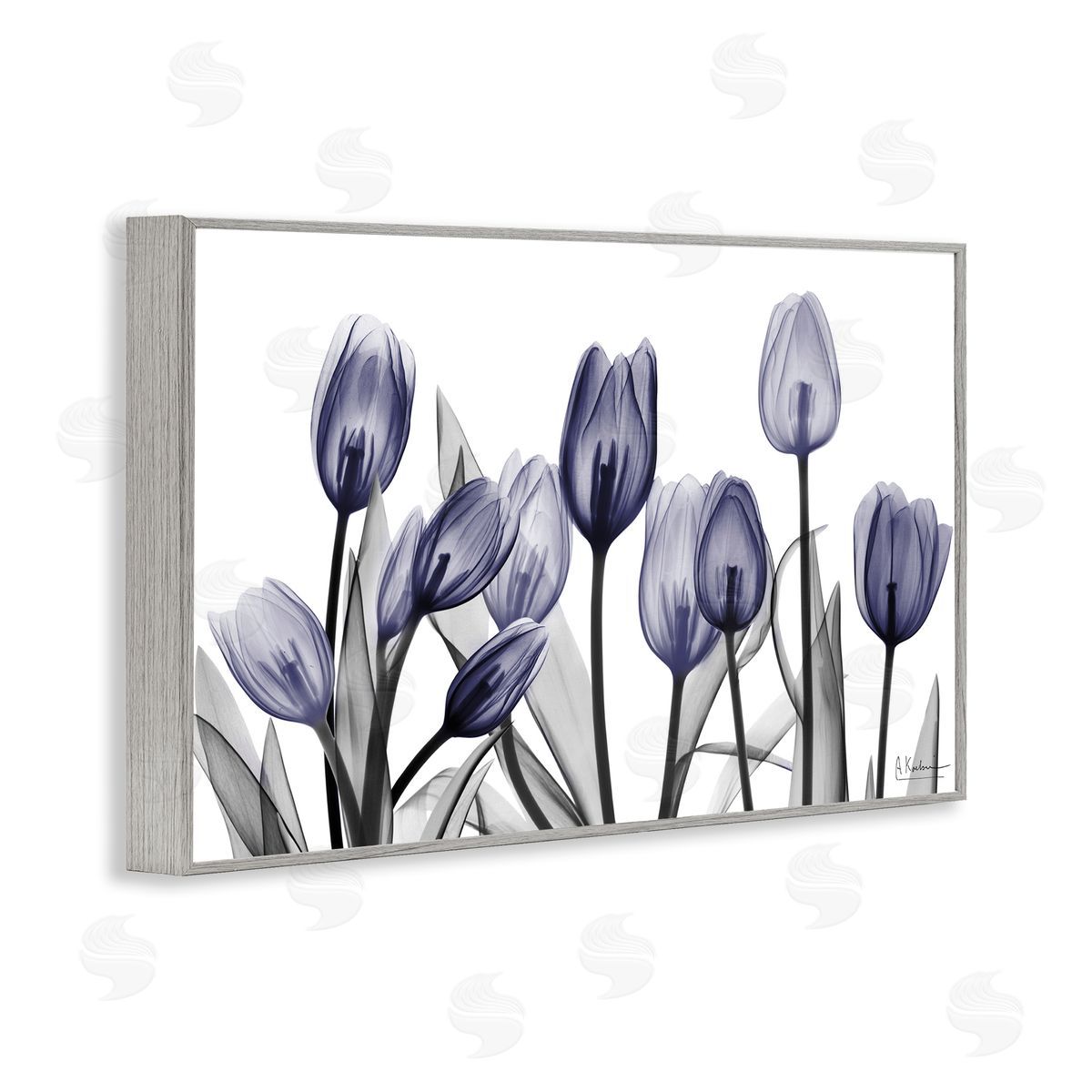 Albert Koetsier | Dramatic Dusk Blue Tulips