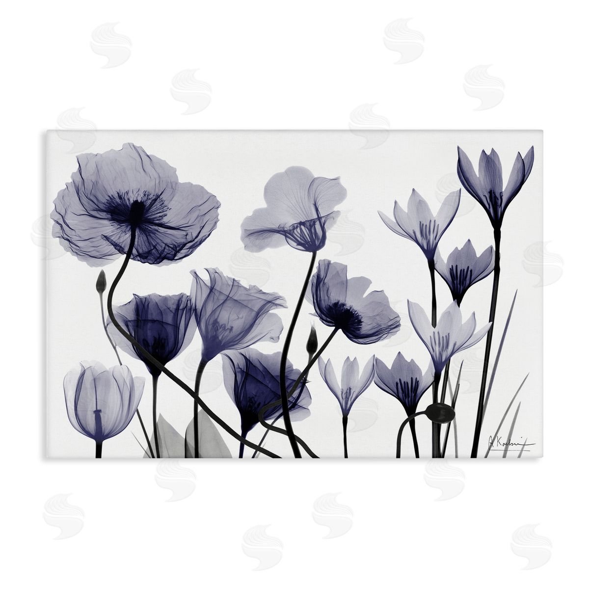 Albert Koetsier | Dusk Delight Blue Florals