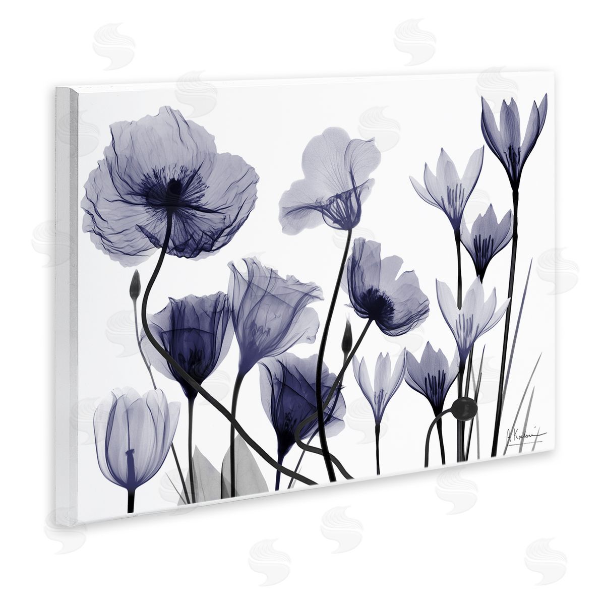 Albert Koetsier | Dusk Delight Blue Florals