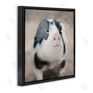 Lori Deiter | Spotted Piglet Portrait