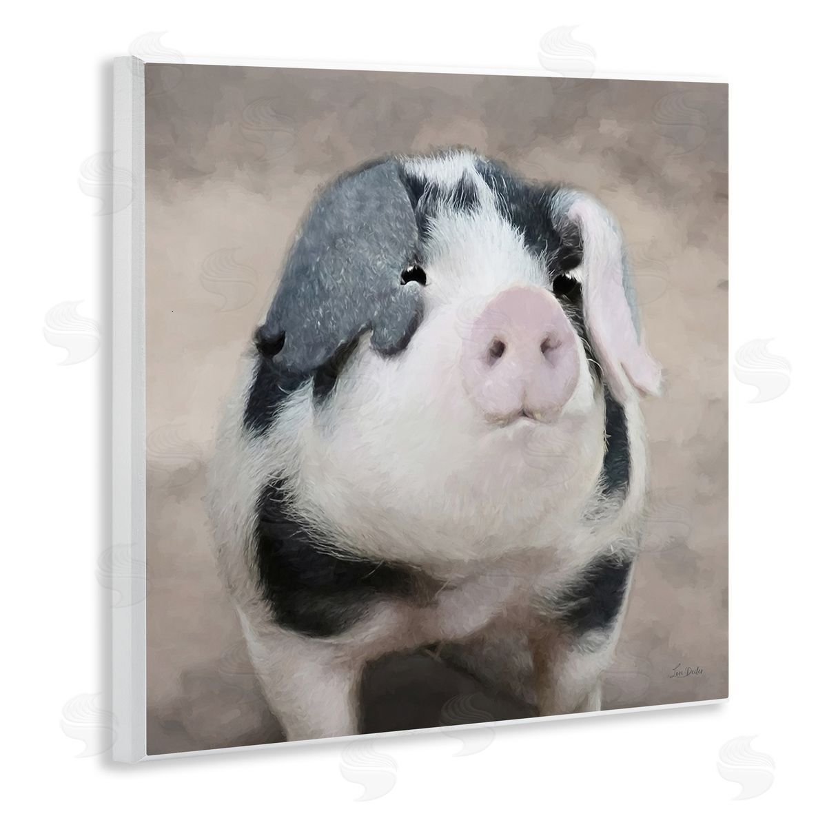 Lori Deiter | Spotted Piglet Portrait