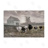 Robin-Lee Viera | Cows On The Ranch