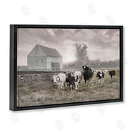 Robin-Lee Viera | Cows On The Ranch