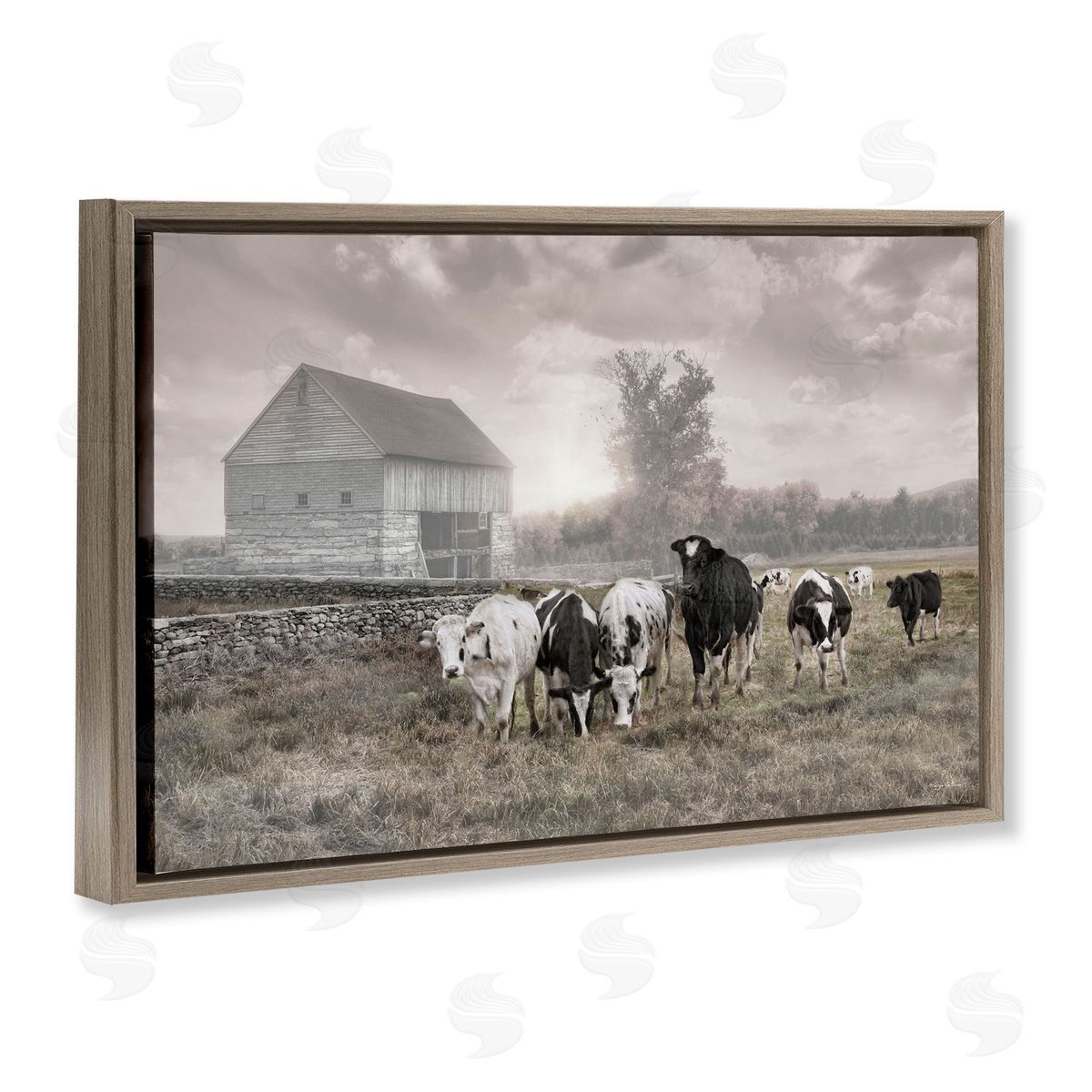 Robin-Lee Viera | Cows On The Ranch