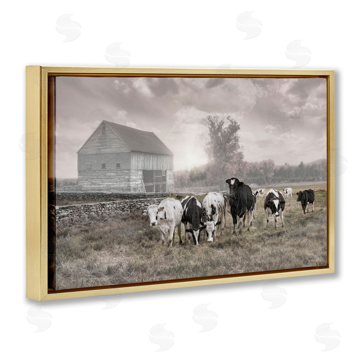 Robin-Lee Viera | Cows On The Ranch