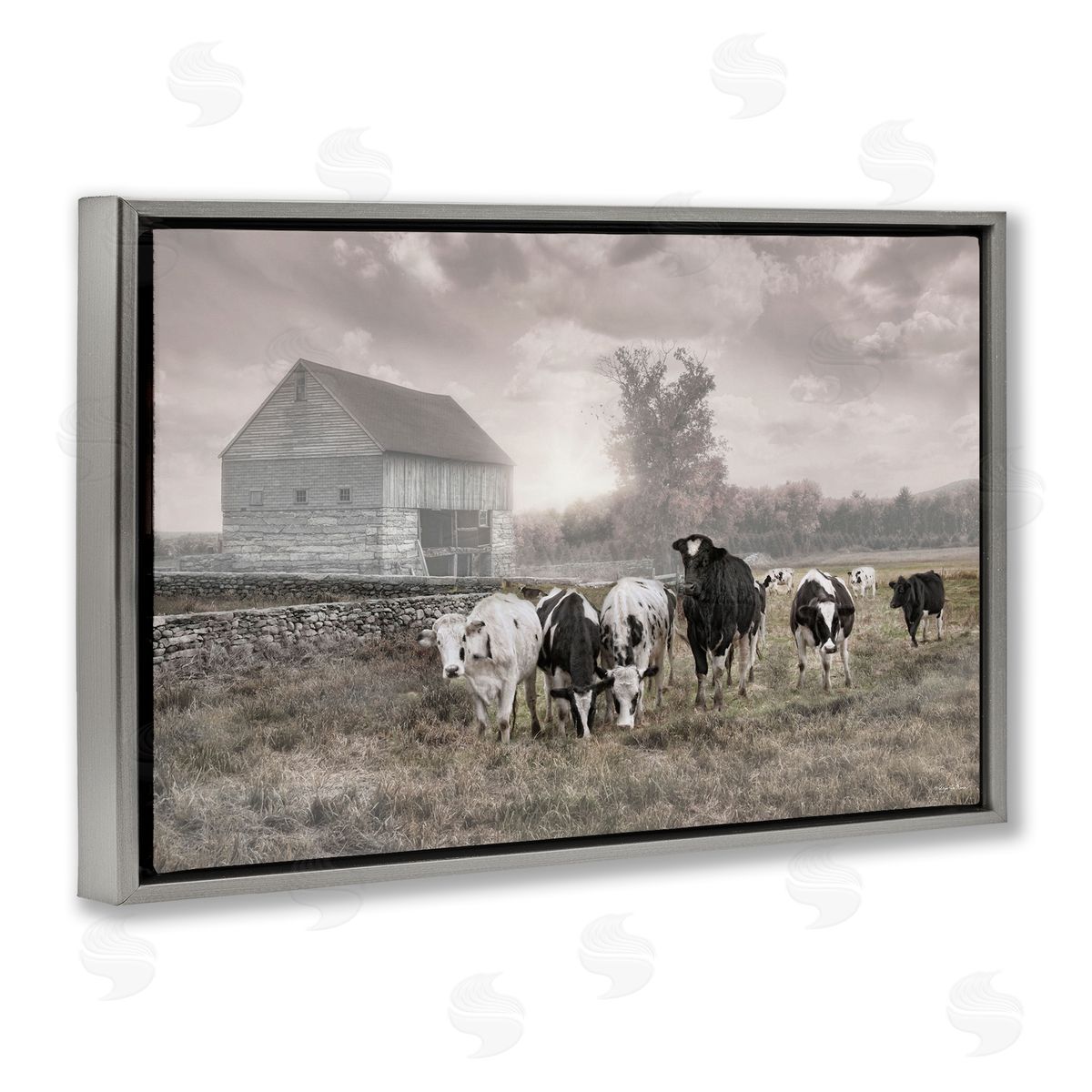 Robin-Lee Viera | Cows On The Ranch