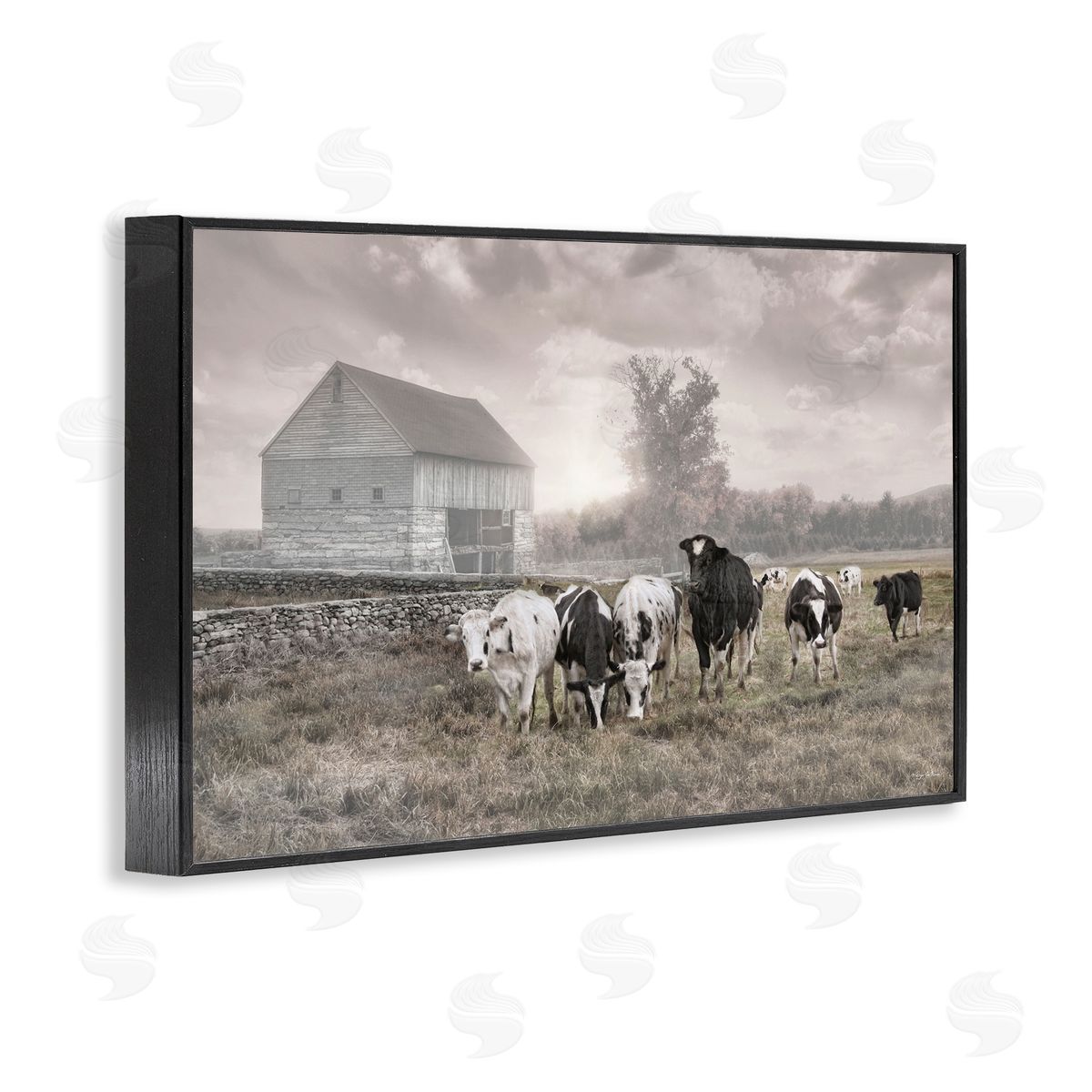 Robin-Lee Viera | Cows On The Ranch