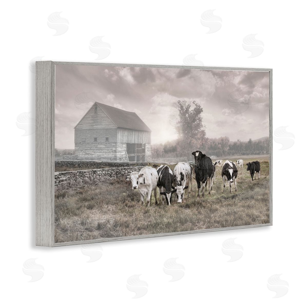 Robin-Lee Viera | Cows On The Ranch