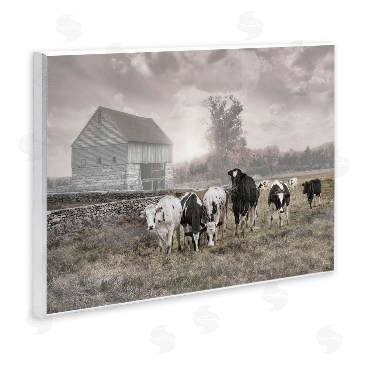 Robin-Lee Viera | Cows On The Ranch