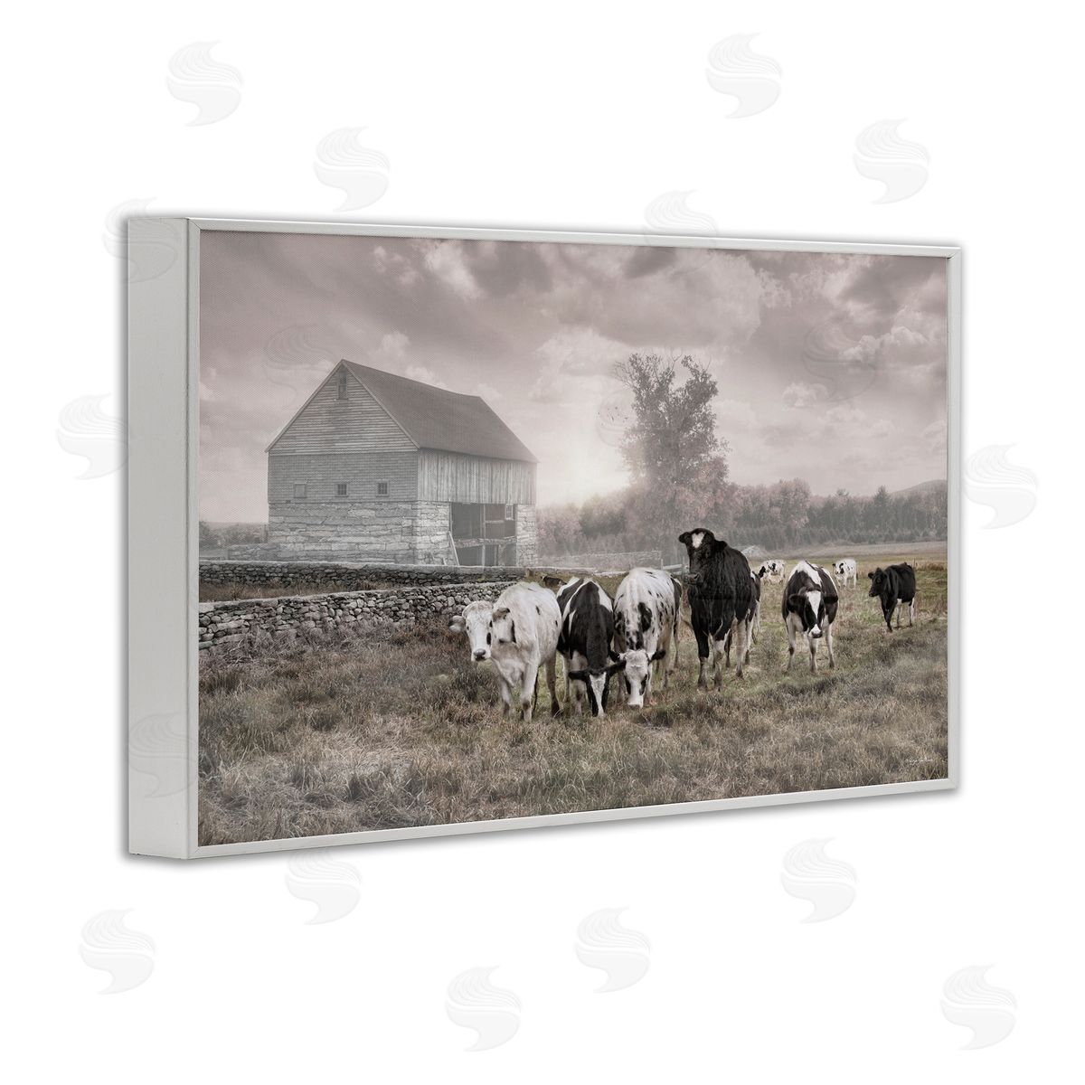 Robin-Lee Viera | Cows On The Ranch