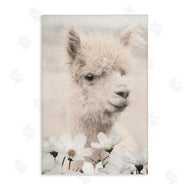 Lori Deiter | Alpaca with White Blossoms