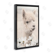 Lori Deiter | Alpaca with White Blossoms
