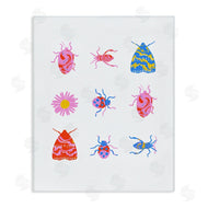 Dina Riddle | Pollinator Insects Assortment