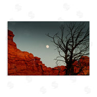 Sally Linden | Full Moon Canyon Photography