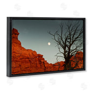 Sally Linden | Full Moon Canyon Photography
