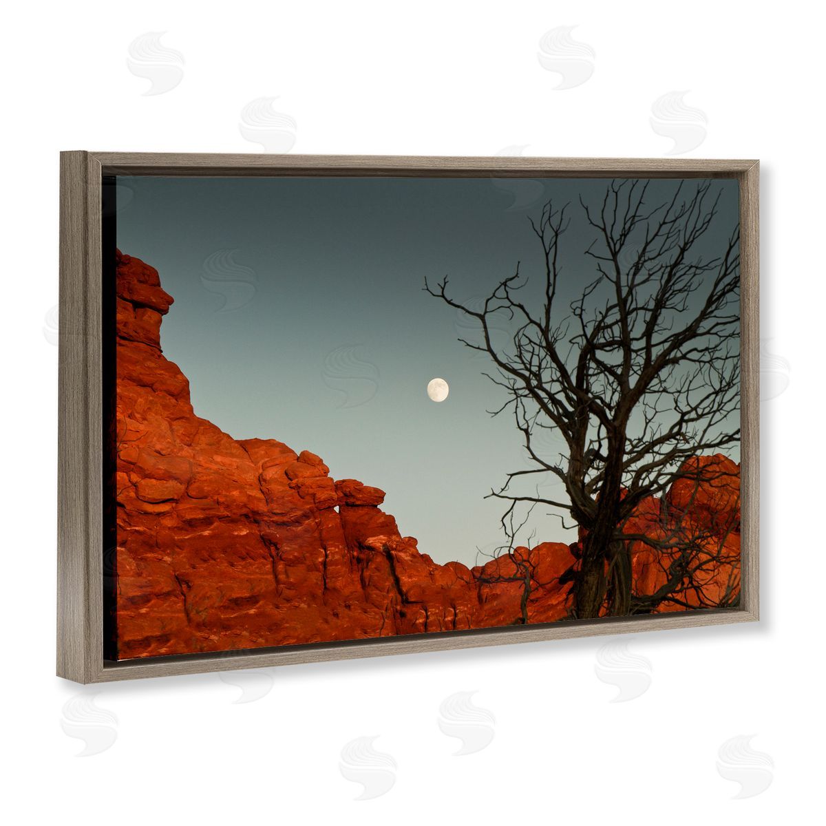 Sally Linden | Full Moon Canyon Photography