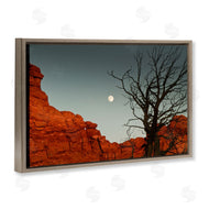 Sally Linden | Full Moon Canyon Photography