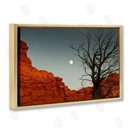 Sally Linden | Full Moon Canyon Photography