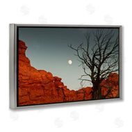 Sally Linden | Full Moon Canyon Photography