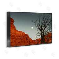 Sally Linden | Full Moon Canyon Photography