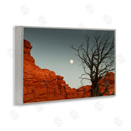 Sally Linden | Full Moon Canyon Photography