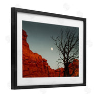Sally Linden | Full Moon Canyon Photography