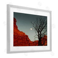 Sally Linden | Full Moon Canyon Photography