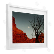 Sally Linden | Full Moon Canyon Photography
