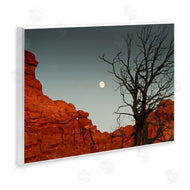 Sally Linden | Full Moon Canyon Photography
