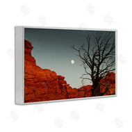 Sally Linden | Full Moon Canyon Photography