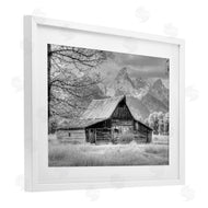 Sally Linden | Sign of the Feather Barn Landscape