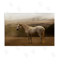 Sally Linden | Morning Mist Horse Portrait