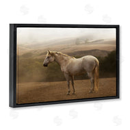 Sally Linden | Morning Mist Horse Portrait