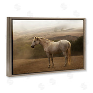 Sally Linden | Morning Mist Horse Portrait