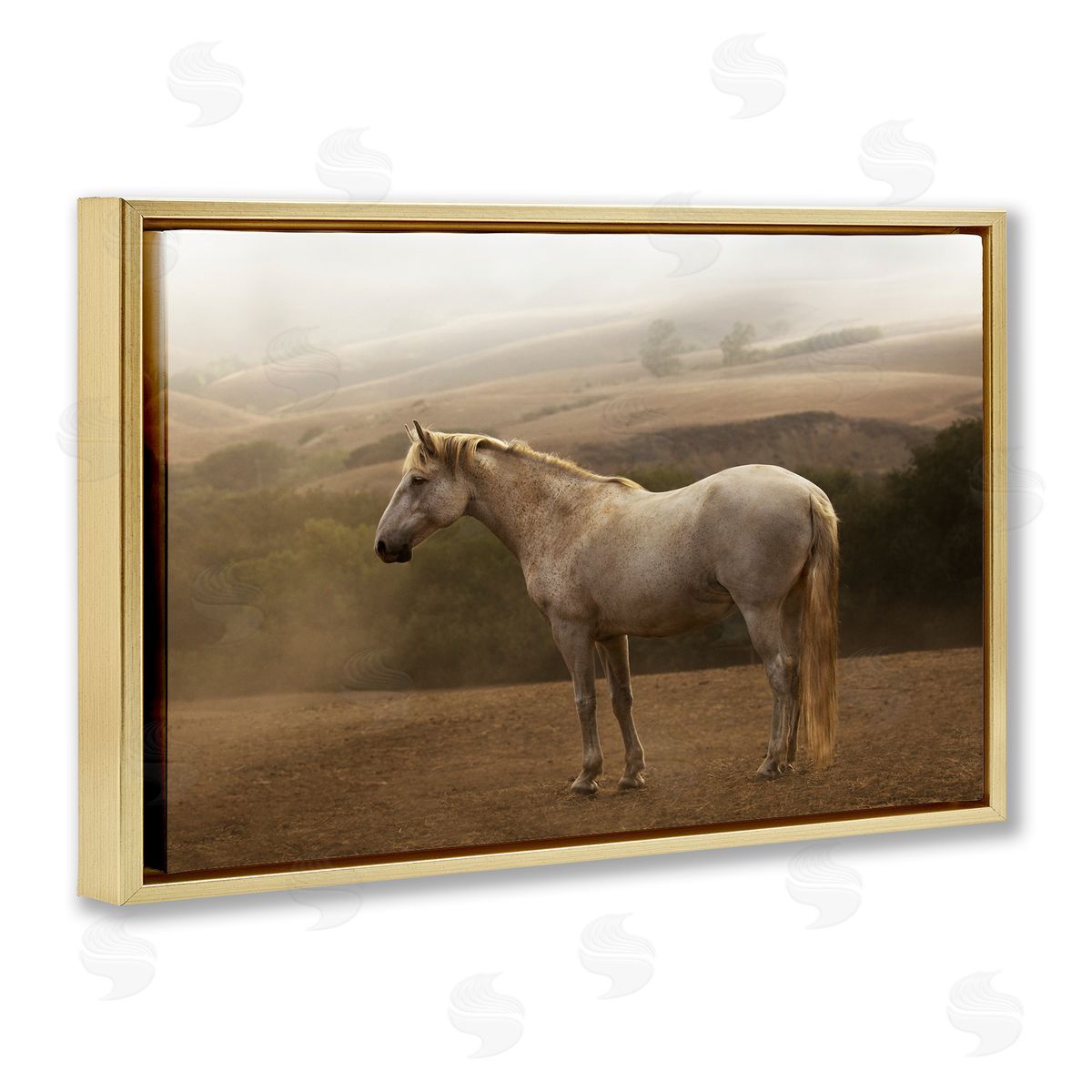 Sally Linden | Morning Mist Horse Portrait