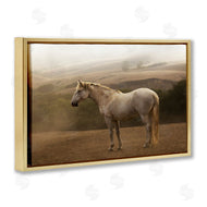 Sally Linden | Morning Mist Horse Portrait