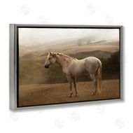 Sally Linden | Morning Mist Horse Portrait