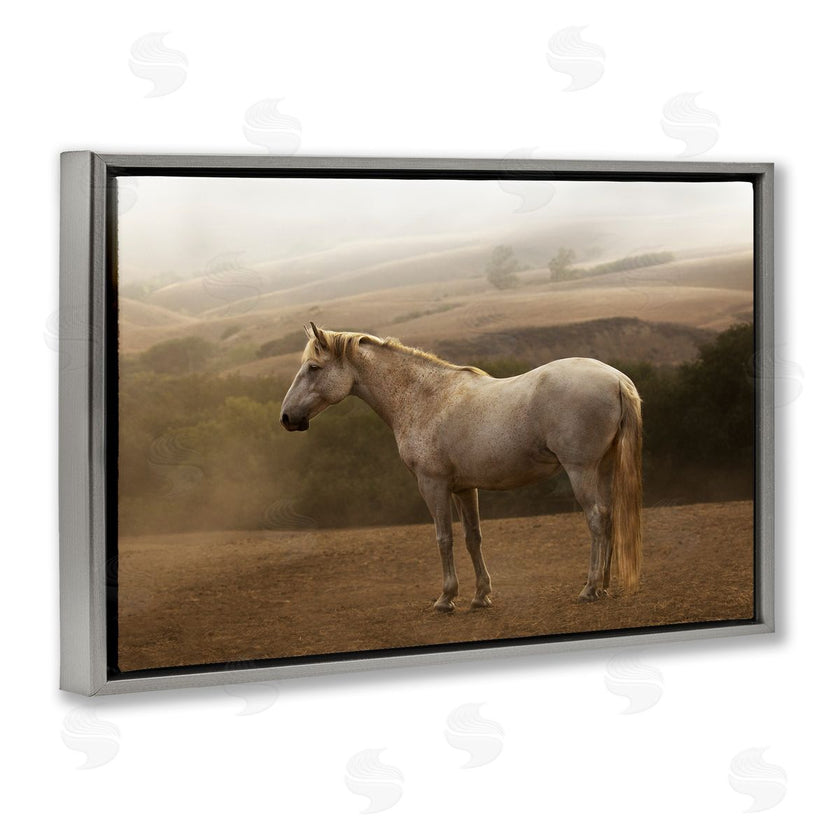 Sally Linden | Morning Mist Horse Portrait