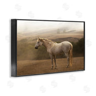 Sally Linden | Morning Mist Horse Portrait