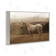 Sally Linden | Morning Mist Horse Portrait