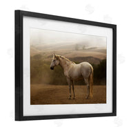 Sally Linden | Morning Mist Horse Portrait